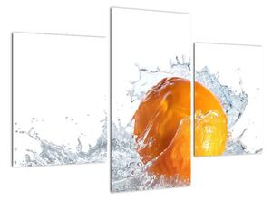 Obraz pomaranče (Obraz 90x60cm)