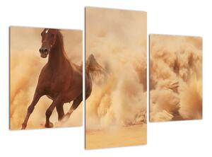 Cválajúci kôň - obraz (Obraz 90x60cm)