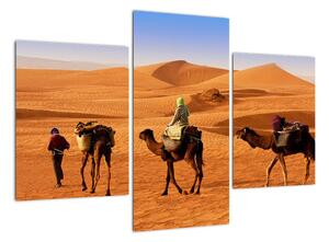 Ťavy v púšti - obraz (Obraz 90x60cm)