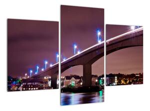Nočná most - obraz (Obraz 90x60cm)
