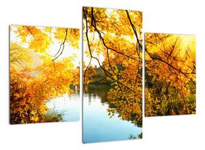 Jesenná krajina - obraz (Obraz 90x60cm)