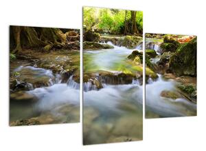 Rieka v lese - obraz (Obraz 90x60cm)
