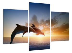 Delfíny - obraz (Obraz 90x60cm)