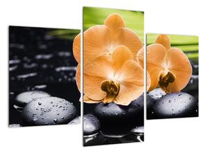 Kvet orchidey - moderný obraz (Obraz 90x60cm)