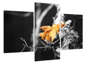 Obraz - prichádzajúce jeseň (Obraz 90x60cm)