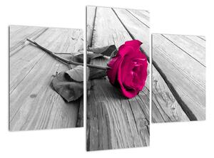 Obrazy kvetov - ruža (Obraz 90x60cm)