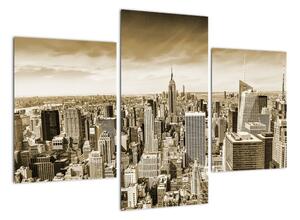 Panorama New York, obraz (Obraz 90x60cm)