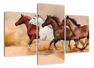 Obraz kôň (Obraz 90x60cm)