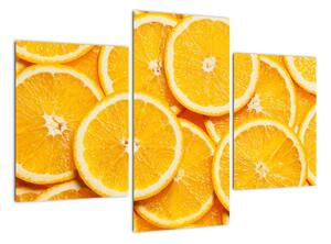 Plátky pomarančov - obraz (Obraz 90x60cm)