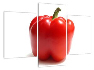 Paprika červená, obraz (Obraz 90x60cm)