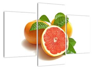 Grapefruit, obraz (Obraz 90x60cm)