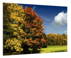 Jesenná krajina, obraz (Obraz 60x40cm)