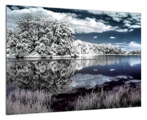 Zimná krajina - obraz (Obraz 60x40cm)