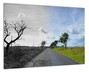 Cesta - obraz (Obraz 60x40cm)
