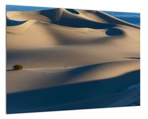 Púšť - obraz (Obraz 60x40cm)