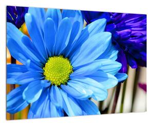 Modrá chryzantéma - obrazy (Obraz 60x40cm)