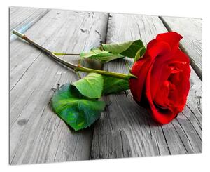 Ruža červená - obraz (Obraz 60x40cm)