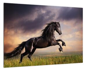 Kôň - obraz (Obraz 60x40cm)