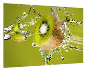 Kiwi - obraz (Obraz 60x40cm)