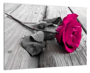 Ruže fialová - obraz (Obraz 60x40cm)