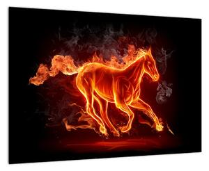 Obraz horiace kôň (Obraz 60x40cm)