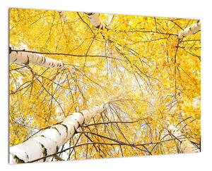 Jesenné lístie - moderný obraz (Obraz 60x40cm)