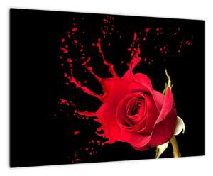 Abstraktný obraz ruža - obraz (Obraz 60x40cm)
