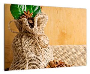 Fotka kávových zŕn a škorica - obraz (Obraz 60x40cm)