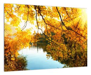 Jesenná krajina - obraz (Obraz 60x40cm)