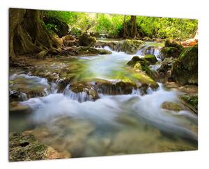 Rieka v lese - obraz (Obraz 60x40cm)