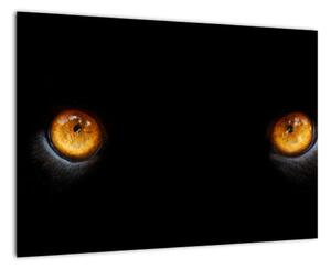 Zvieracie oči - obraz (Obraz 60x40cm)