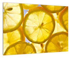 Plátky citrónov - obraz (Obraz 60x40cm)