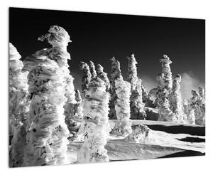 Obraz - zimné hory (Obraz 60x40cm)