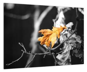Obraz - prichádzajúce jeseň (Obraz 60x40cm)