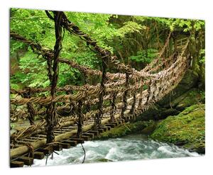 Obraz - most v prírode (Obraz 60x40cm)