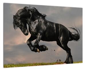 Čierny kôň, obraz (Obraz 60x40cm)