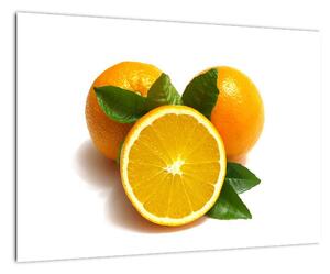 Pomaranče - obraz (Obraz 60x40cm)