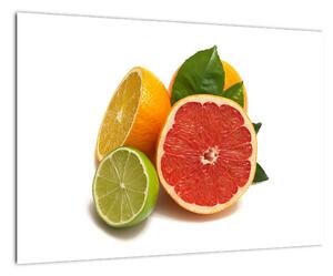 Citrusové plody - obraz (Obraz 60x40cm)