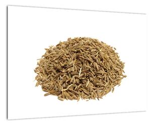 Pšenica, obraz (Obraz 60x40cm)