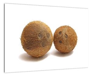 Kokosový orech, obraz (Obraz 60x40cm)