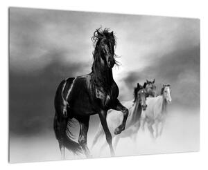 Čiernobiely obraz koňov (Obraz 60x40cm)