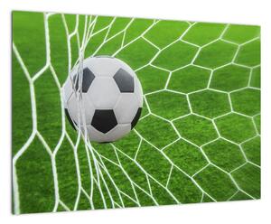 Futbalová lopta v sieti - obraz (Obraz 60x40cm)
