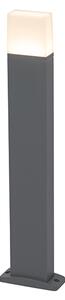 Moderné vonkajšie svietidlo tmavošedé 65 cm vrátane LED IP54 - Malia