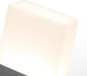 Moderné vonkajšie svietidlo tmavošedé 65 cm vrátane LED IP54 - Malia