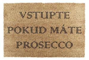 Rohožka z kokosového vlákna 40x60 cm Prosecco – Artsy Doormats