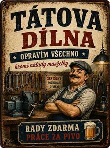Plechová ceduľa Pivo nevyřeší problémy. Ani voda. - Plechová tabuľa