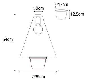 Moderné stropné svietidlo čierne so skleneným trojuholníkom - Roslini