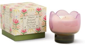 Paddywax Tulip Bronzed Gardenia vonná sviečka 155 g