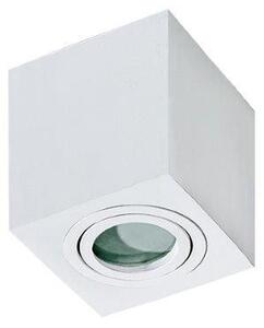 Azzardo AZ2822 prisadené stropné bodové svietidlo Brant Square 1x50W | GU10 | IP44