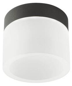 Redo 01-3359 LED bodové stropné svietidlo NAIDA | 6W integrovaný LED zdroj | 258lm | 3000+4000K